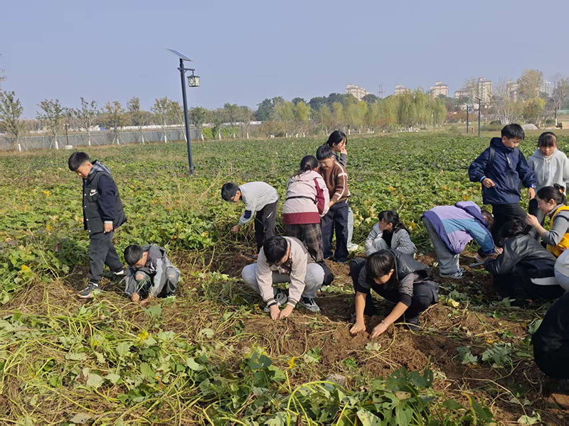 秋日研学正当时：解锁孩子的综合成长密码