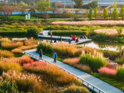 秋光为伴，新葡萄8883官网AMG与张村河共绘新景